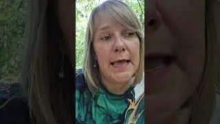 Adopting with new high energies
