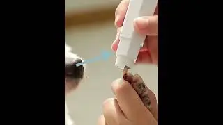 Electric Dog Nail Clippers for Grinders Rechargeable USB Charging Pet Quiet Cat Paws Nail Grooming