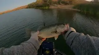 Sometimes you have to fish out of your comfort zone! (Cast to Catch!!!)