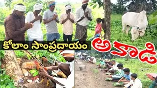 కోలాం సాంప్రదాయం అకాడి? Kolami coluthar akadi in saleguda