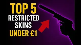 Top 5 Restricted Skins in CS2 for Under &pound;1 | Budget Skin Picks