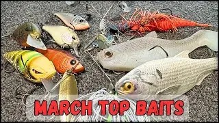 🎣 Best March Bass Fishing Baits &ndash; Catch More BIG Bass This Spring! 🔥