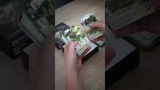 🦊 Nouvelle extension de For&ecirc;t Mixte 