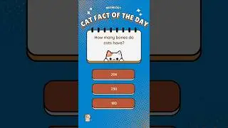🐾Daily cat quiz! #catquiz #catshorts #catfacts #catquiz #cattrivia #dailyquiz