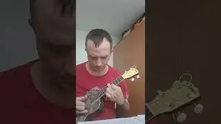Planxty Irwin for Resofonic Ukulele #resofonicukulele #ocarolan #ukulele #turloughocarolan #carolan