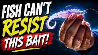 Inshore Fishing Off Panama City Beach - Fish Can't Resist This BAIT!