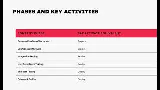 Master SAP Project Management A Guide for Non SAP Background Professionals