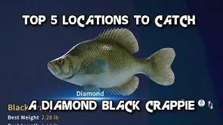 Top 5 locations To Catch A Diamond Black Crappie!