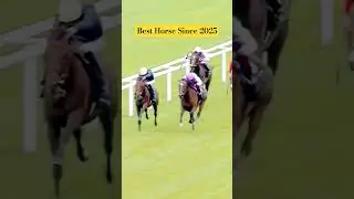 Best Horse Since 2025 Close finesh #horseracing #horse #racing #shorts #ytshorts