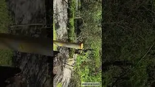 GREEN ESCAPES