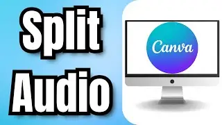 Как разделить аудио в Canva &mdash; полное руководство