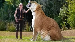 Hybrid Animals That Are Hard To Believe Actually Exist