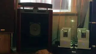 Exclusive EW 302 + Opera audio consonance cyber 800 + Pink Pantera