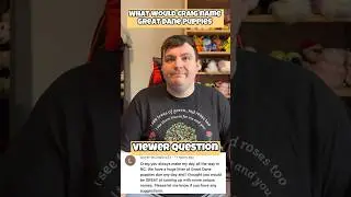 Great Dane Puppy Names #autistic #names #viewer #autism #craig #ourdailyview #puppies #greatdane