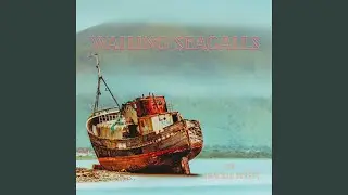 Wailing Seagalls