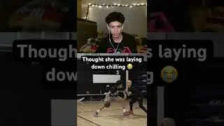 His Dog Scared The Crap Out Of Him ! 😂 #shorts #reaction #dog #dogs #doglover #doglovers #dogshorts