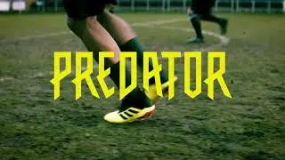 Energy mode Adidas PREDATOR