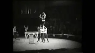 Подкидные доски с батутом. Вольные Киев. Teeter board with a trampoline. Floor Kyiv