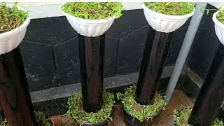 Beautiful plant tower making. EP49