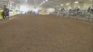 Pounding Hooves Productions Live Stream