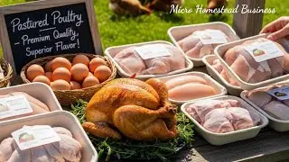 Raising Broiler Chickens for Meat: From Brooder to Processing (Full Guide)