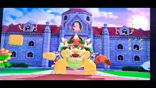 Peach Vs Bowser 