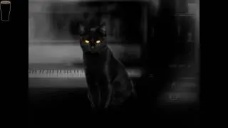 My name is Susan Ashworth - The Cat Lady