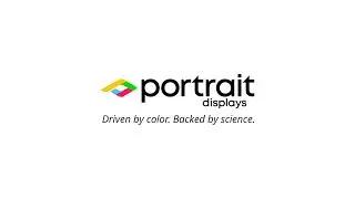 The Portrait Experience