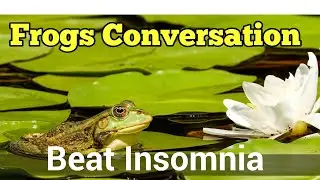 Frog Conversation| Beat Insomnia Within 5 Minutes|Crickets Sounds Effect| Forest Sleep Sounds|