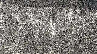 Дэниел Бойд представляет &laquo;(HNDFWMIAFN)&raquo;