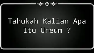Pemeriksaan ureum