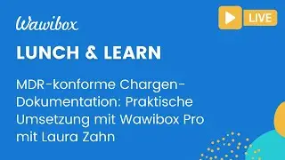 MDR-konforme Chargendokumentation mit Wawibox Pro (Produktdemonstration)