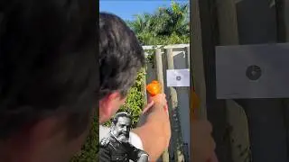 O 1&deg; OURO do BRASIL 🇧🇷 1920 - Antu&eacute;rpia | Guilherme Paraense 🔫Tiro Esportivo - Pistola R&aacute;pida 30m