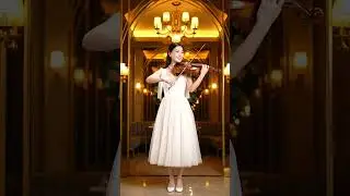 Indoor Classical Violin Played by a Female Artist