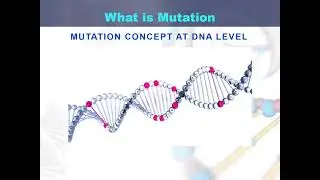 What is Mutation
