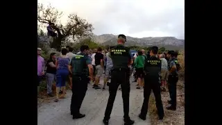 Desastre mediambiental: Xylella Fastidiosa. La Vall de Guadalest planta cara a la Unió Europea