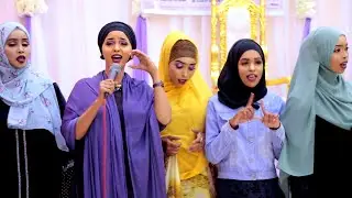 XAMDI BILAN | HADAD DHABARKA BESHANA - DHAQTAR KAGAN NOQON LAA | QISO DHAB AH | OFFICIAL MUSIC VIDEO