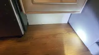 Ants Located Underneath the Fridge