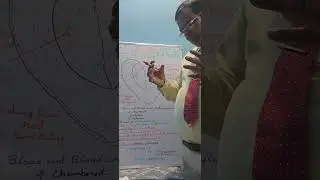 CIRCULATORY SYSTEM-CIRCULATON IN HEART PART 3 BY EDUCATOR S.K.SRIVASTAVA 