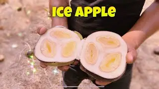 The MYSTERY Fruit of India's Villages: Ice Apple Revealed!