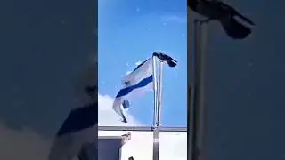 Even birds doesn't like isreal flag #viral#shorts#freepalastine#freegaza#isrealwar#hamaswar