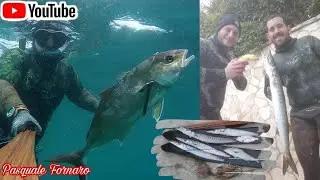 Pesca Sub: tramonto di fuoco tra i predatori