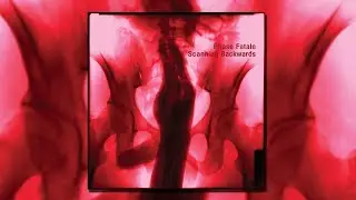 Phase Fatale |&nbsp;Binding by Oath [Ostgut Ton]
