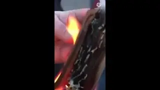 Ukraine Crisis: Woman burns her Russian passport in Ukraine protest! #shorts,🐎🐎🐎🐎🐎🐎🐎🐎🐎🐎🐎🐎🐎🐎🐎🐎🐎🐎🐎🐎🐎🐎🐎