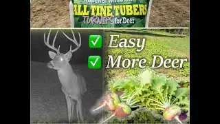 Will Deer Eat Turnips? Planting a DIY Backyard Food Plot for Deer