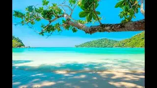 Lounge Music & Tropical Chill Aerials (new music)