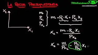 RECTA PRESUPUESTARIA MICROECONOMIA
