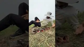 Fishing in small pond | fish breath technique| big fish Hunting#vlog #fish #pond #fishinglife