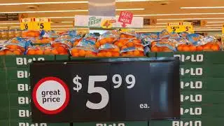 Bi-Lo 5514 Daniel Village 