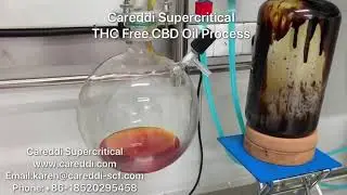 Glass Short Path Distillation in Poland with Full Spectrum CBD Oil